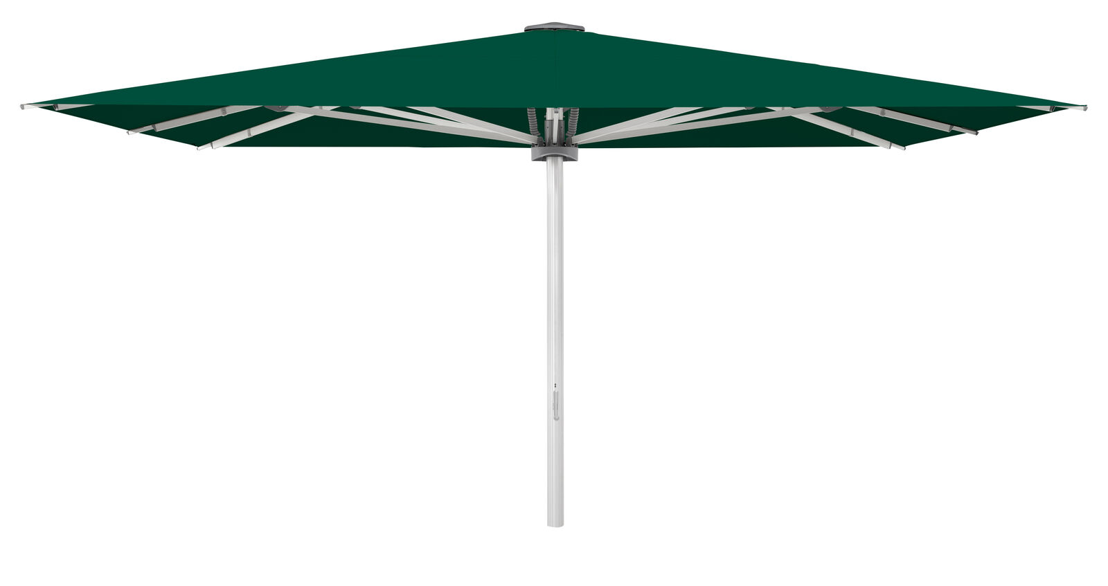 Palazzo Style 450x350cm m/frisekant