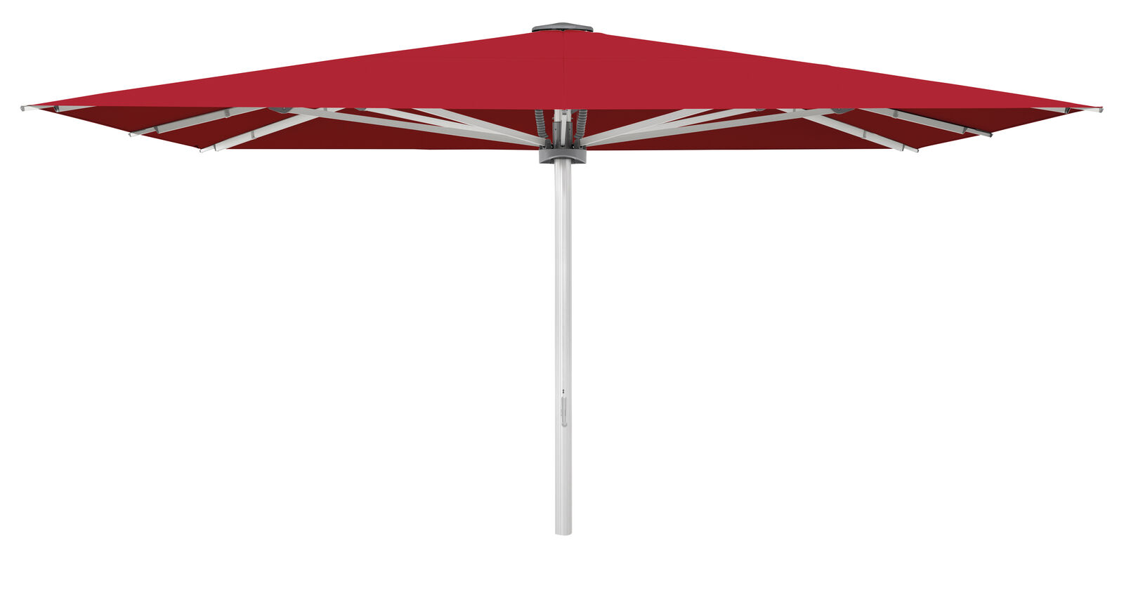 Palazzo Style 450x350cm m/frisekant