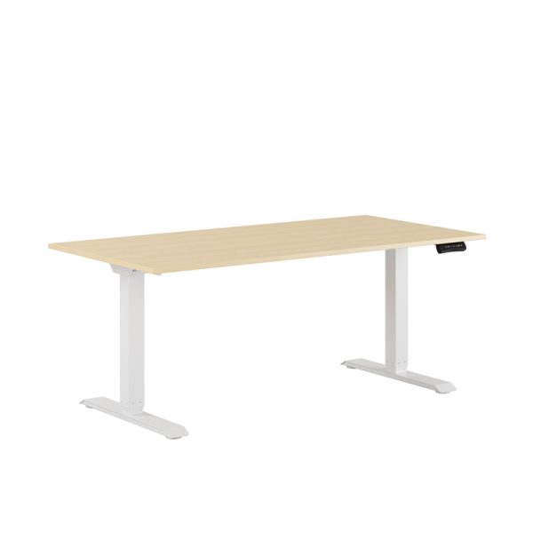 Premium Hæve/Sænkebord m/2 motorer 160x80cm